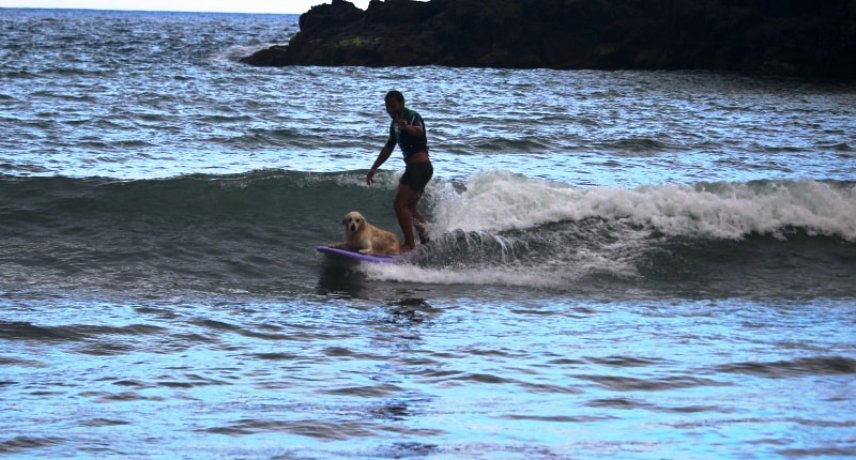 Surfing in Madeira Island